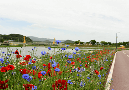 붉은꽃과 파란꽃이 피어있는 강변
