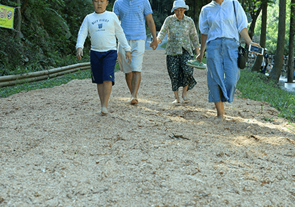축령산 편백숲 걷는 가족들