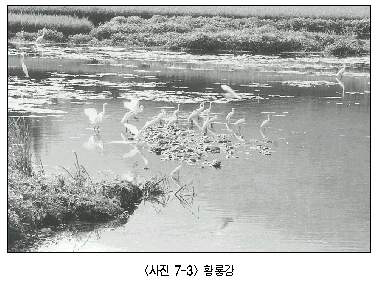 [사진 7-3] 황룡강